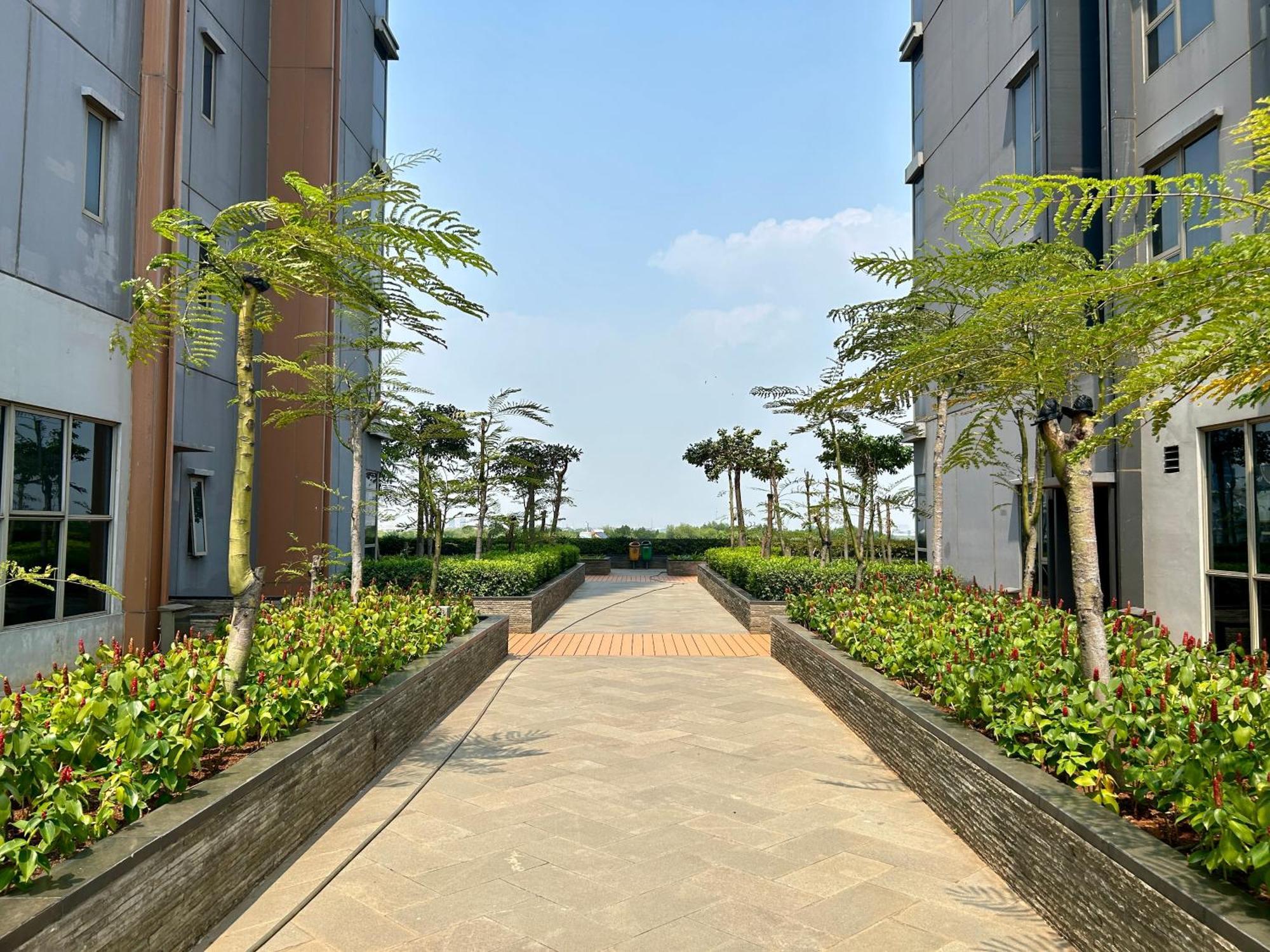 Gold Coast Pik Japandi Sunset Modern Living By With E Apartemen *